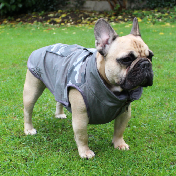 Dogissimo Camo Coat for Bulldogs & Frenchies
