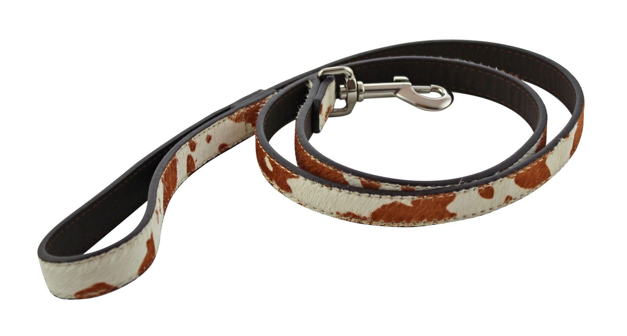 Animal Print Leather Leads and collars