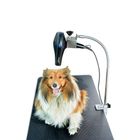 Gravitis Pet Supplies Professional Hair Dryer Holder – Holder only - Suitable for use with Gravitis Professional Dog Grooming Table