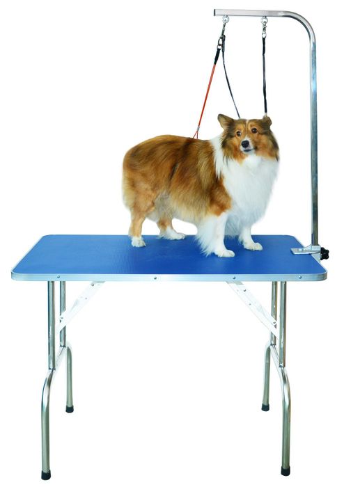 Gravitis Pet Supplies Professional Dog Grooming Table – A sturdy, portable folding table for grooming small and medium pets