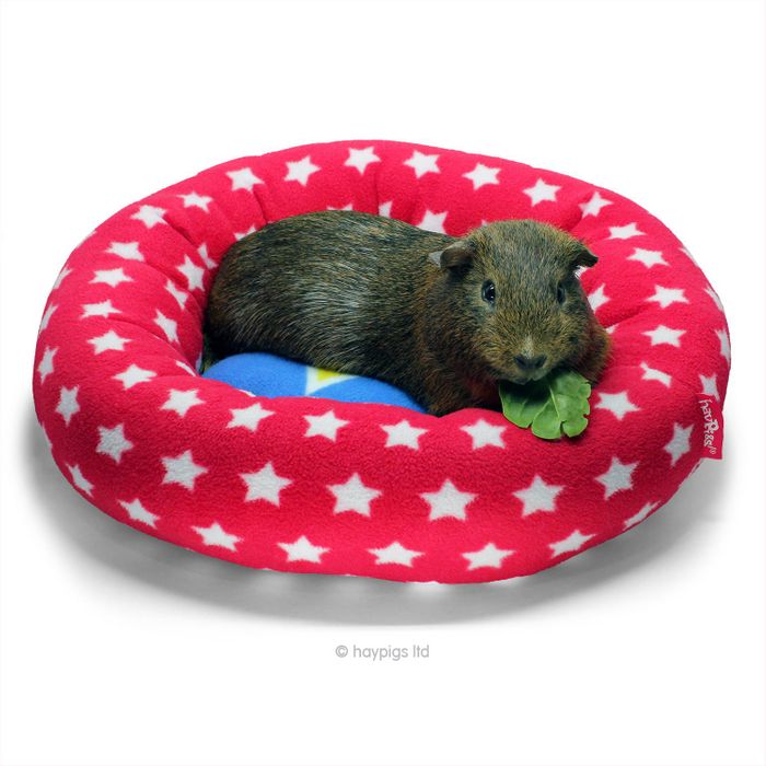 HayPigs!® Piggy Crash Mat™ - Fleece Bed