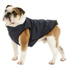 Windsor Jacket for Bulldogs & Frenchies in Navy