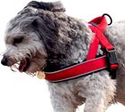 Dog & Co Reflective Padded Harnesses
