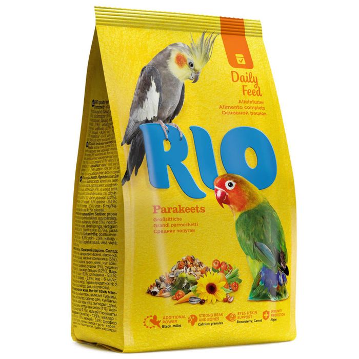 RIO Daily Feed