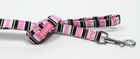 DOGUE Candy Strip Lead and Collar