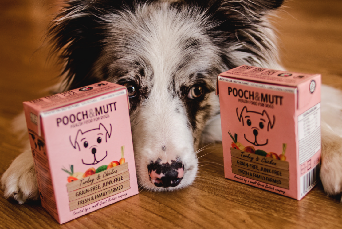 Pooch & Mutt Wet Food Cartons