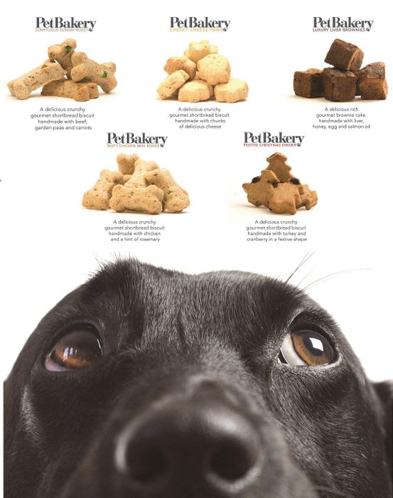 Pet Bakery Handmade Luxury Doggie Treats