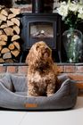Luxury Dog Beds