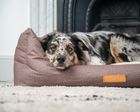 Luxury Dog Beds