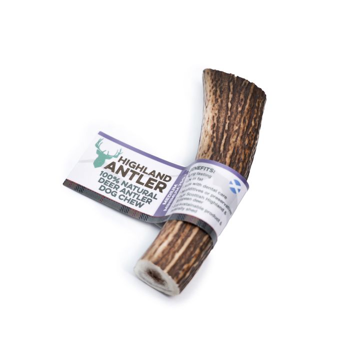 Highland Antler