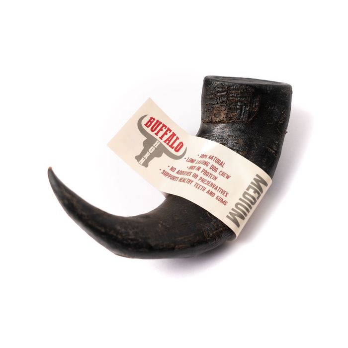 Buffalo Horn