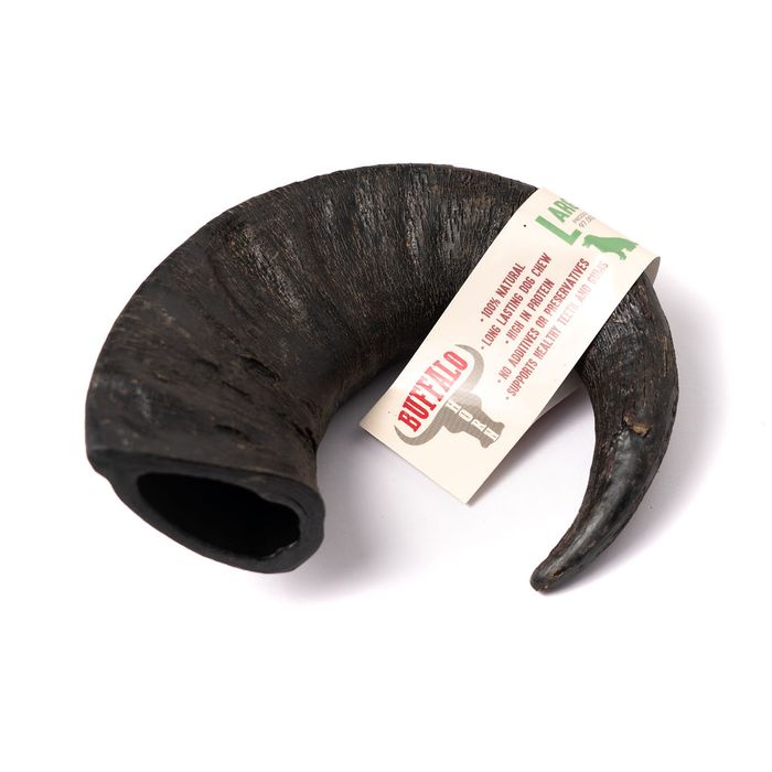 Buffalo Horn