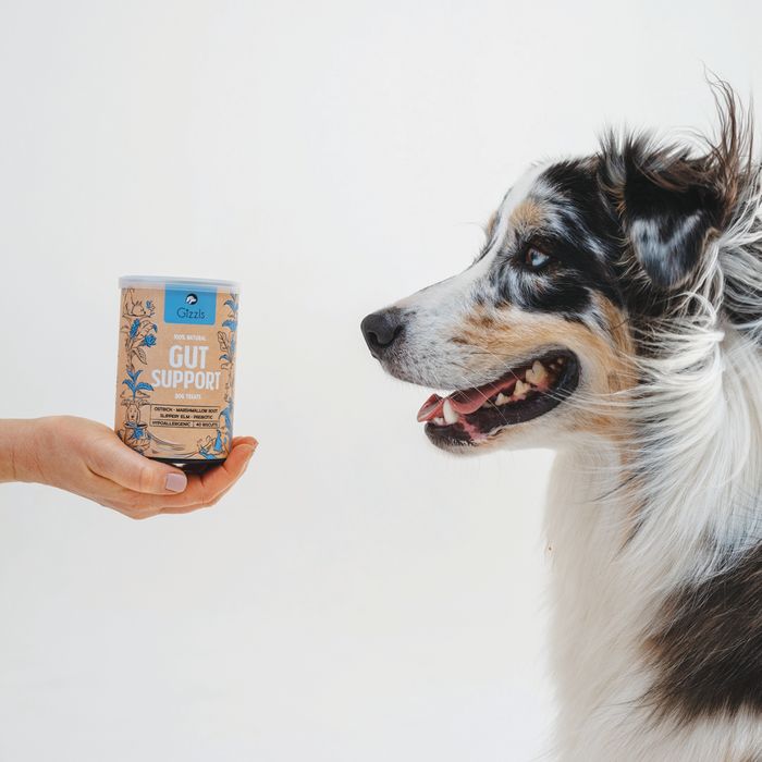 Gizzls 100% Natural Dog Treats for Gut Support