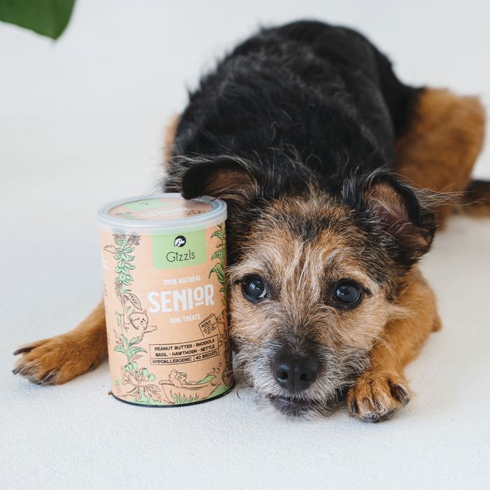 Gizzls 100% Natural Dog Treats for Seniors