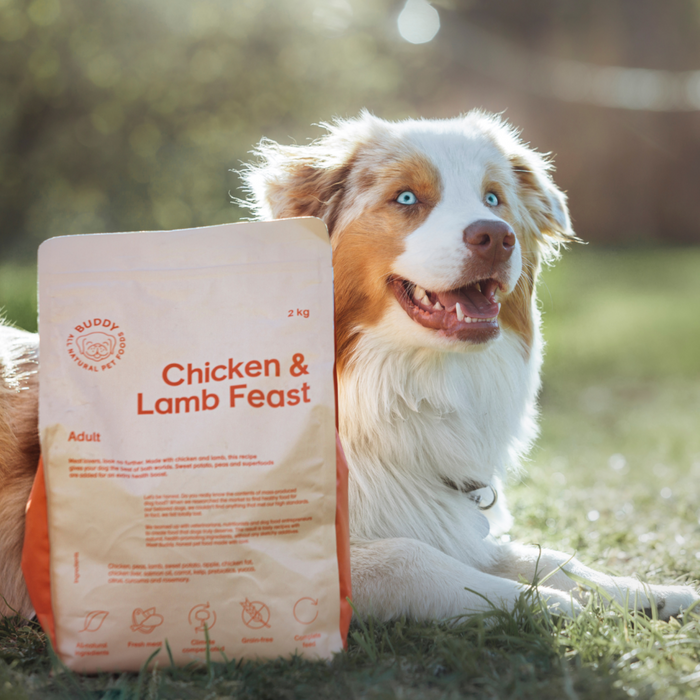 Buddy Pet Foods Chicken & Lamb Feast 2/5/12kg