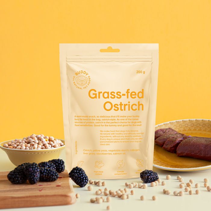 Buddy Pet Foods Grass Fed Ostrich with Blackberries 200g