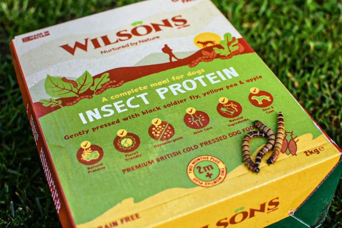 Insect Protein Cold Pressed Dog Food