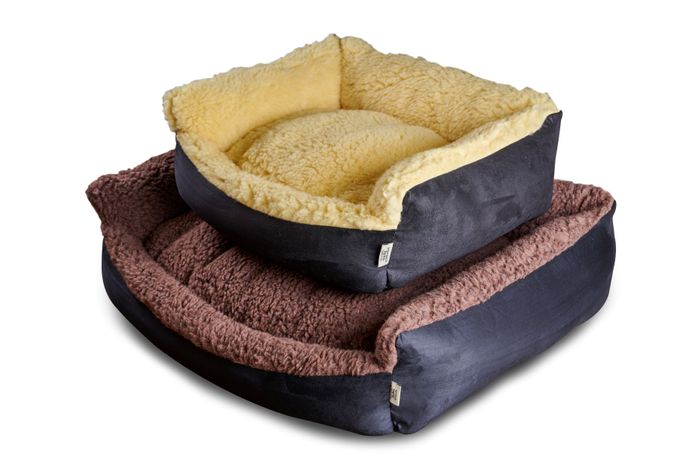 Bronte Glen Senior Gold 7 + Cosy Dog Beds