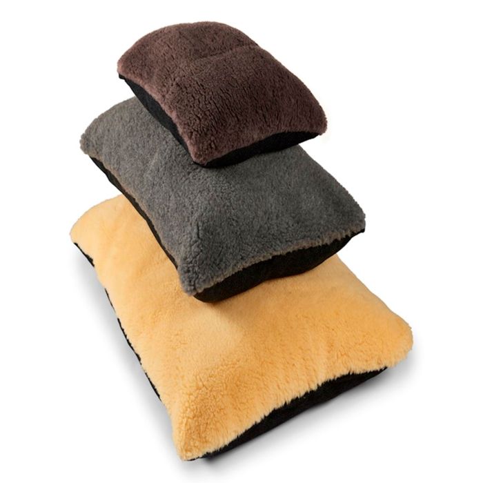 Bronte Glen Senior Gold 7 + Cosy Dog Beds