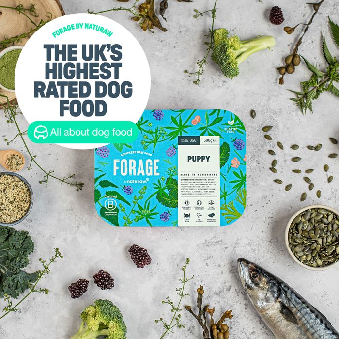 Forage: Whole Food Complete