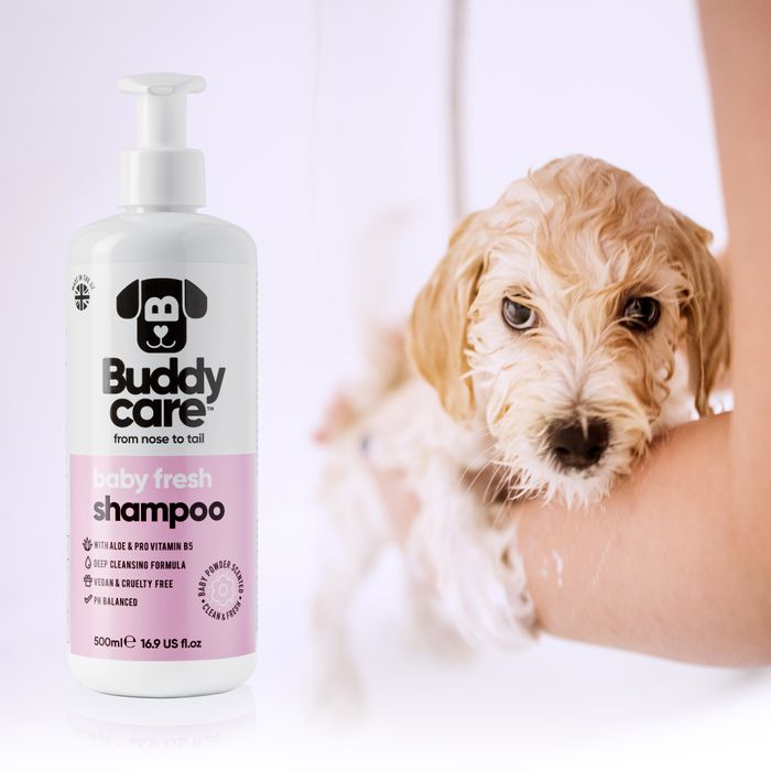 Buddycare Baby Fresh Dog Shampoo 500ml