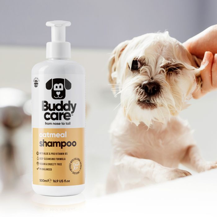 Buddycare Oatmeal Dog Shampoo 500ml