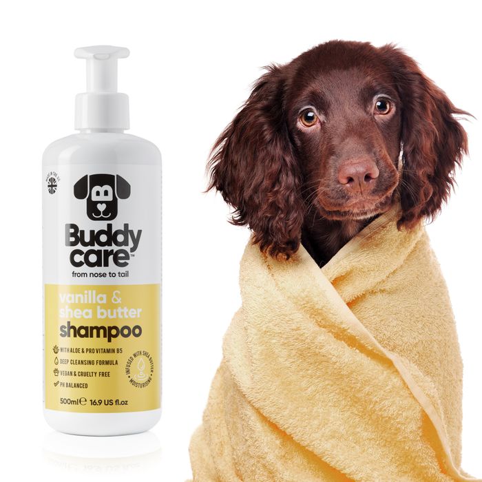 Buddycare Vanilla & Shea Butter Dog Shampoo 500ml