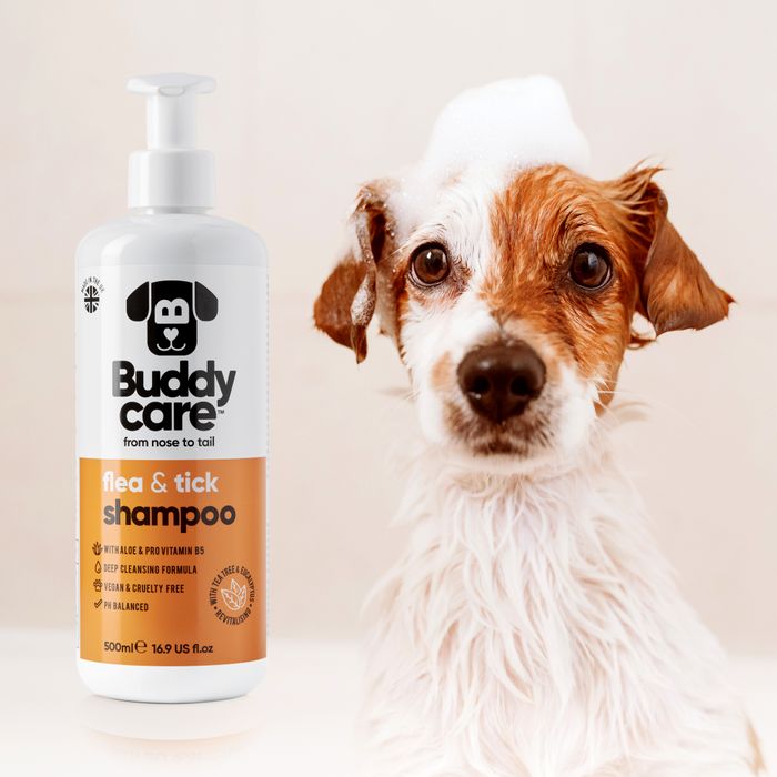 Buddycare Flea Tick Dog Shampoo 500ml PATS 2025