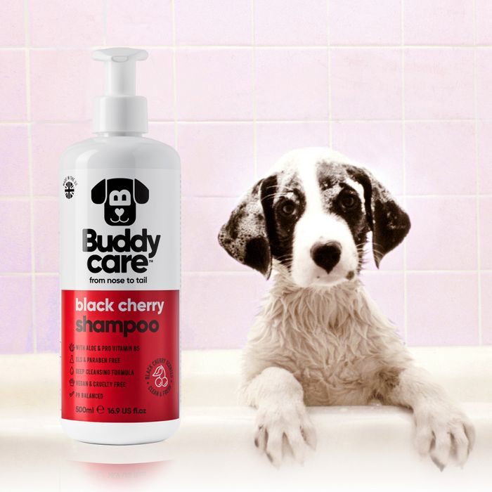 Buddycare Black Cherry Dog Shampoo 500ml