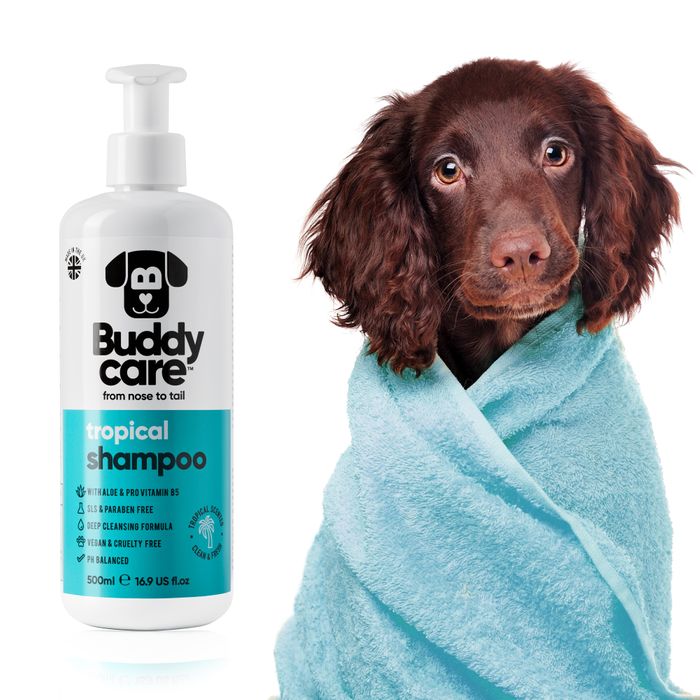 Buddycare Tropical Dog Shampoo 500ml