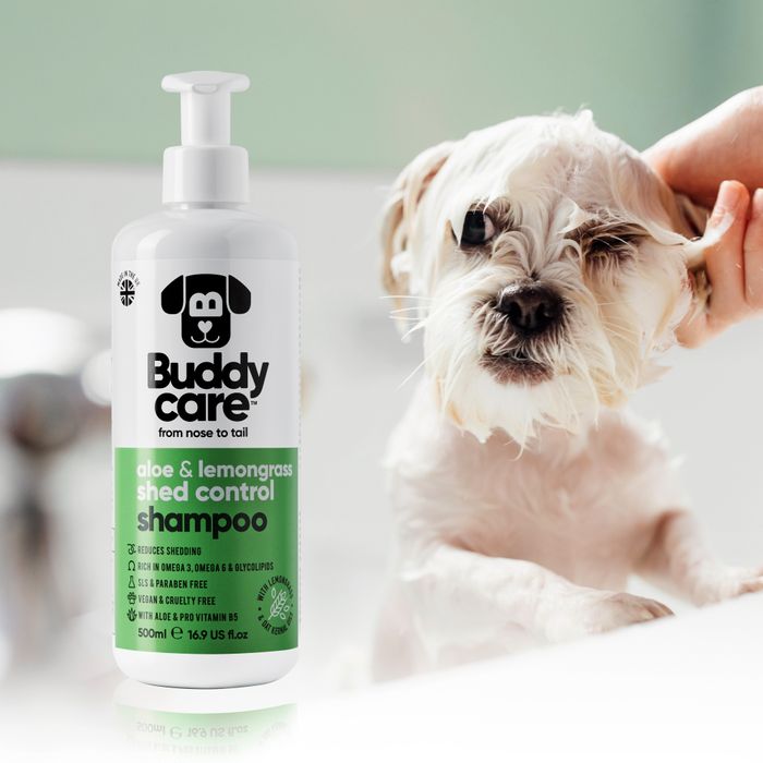 Buddycare Shed Control Aloe & Lemongrass Dog Shampoo 500ml