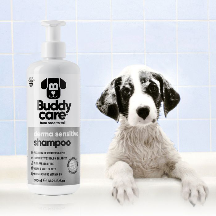 Buddycare Derma Sensitive Dog Shampoo 500ml