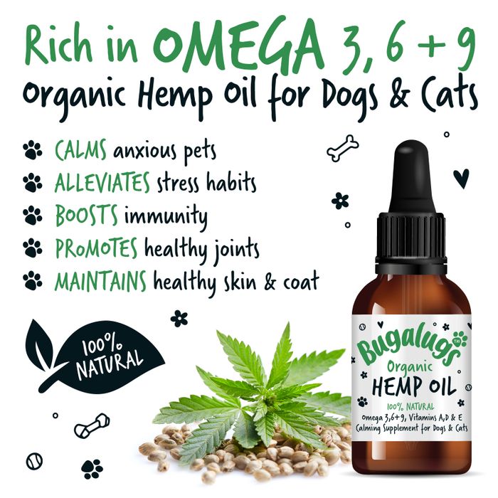 Hemp  Oil