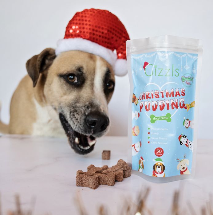 Gizzls Christmas Pudding Dog Treats