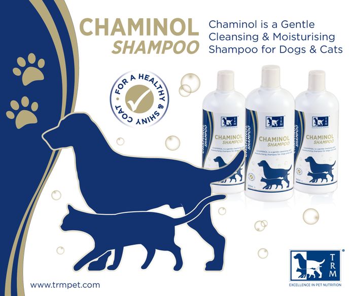 TRM Pet Chaminol Shampoo