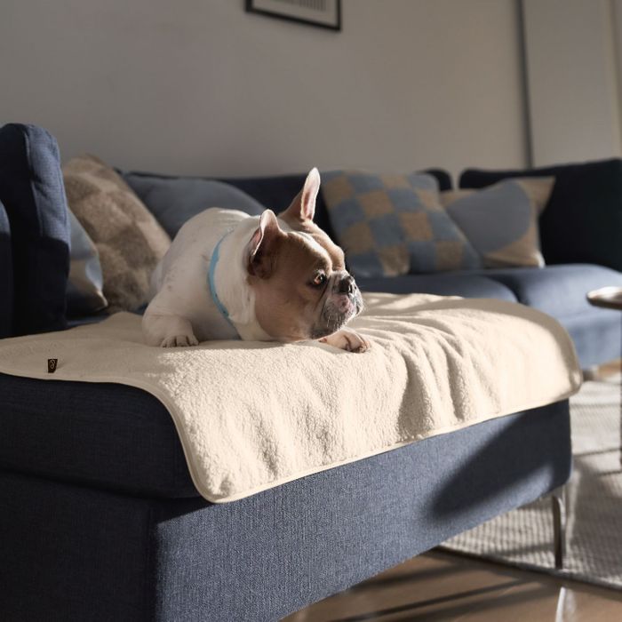 PetProtector Waterproof Sofa/Car Blanket