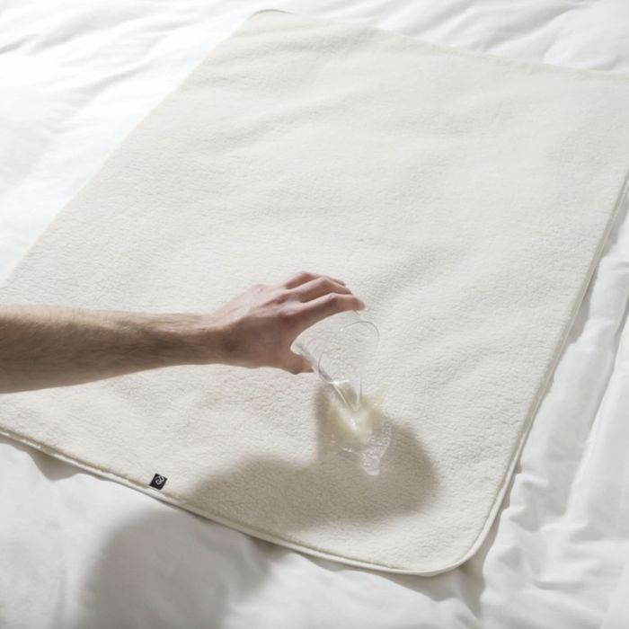 PetProtector Waterproof Sofa/Car Blanket