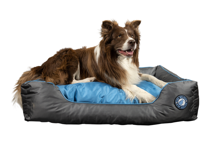 Kiwi Walker PET BEDS