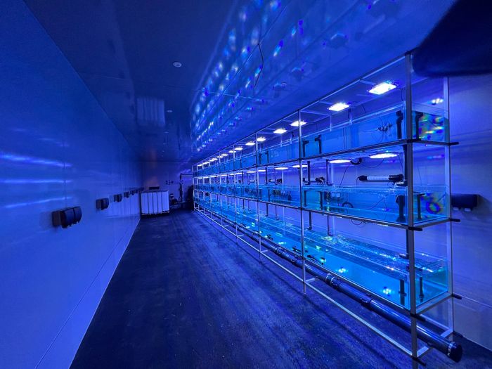 Aquarium Rack Systems for Pet Shops