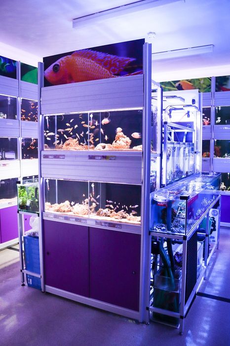 Aquarium Rack Systems for Pet Shops