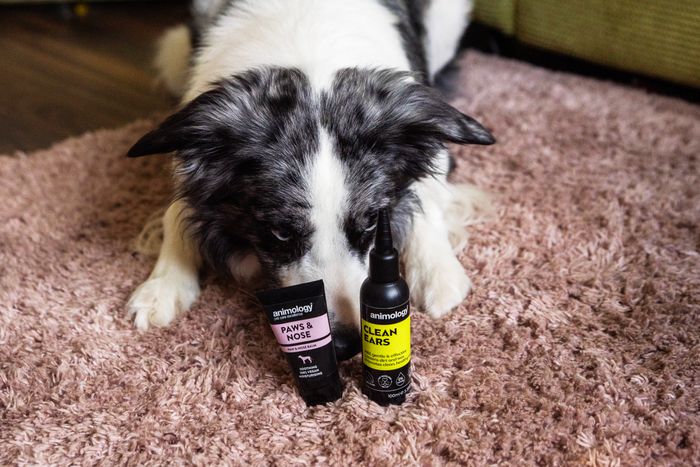 Animology Paws & Nose Balm