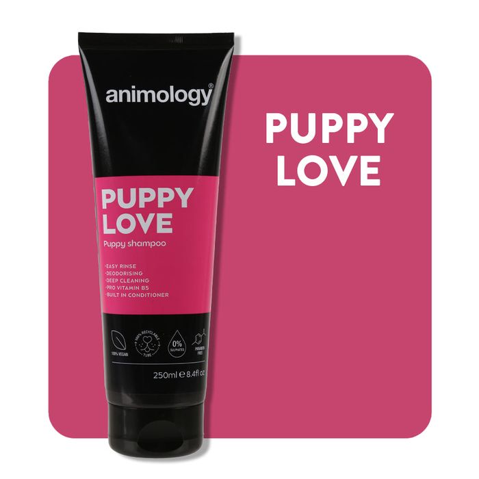 Animology Puppy Love Shampoo