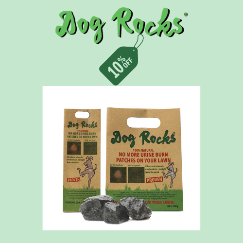 Save 10% on Dog Rocks at PATS 2023