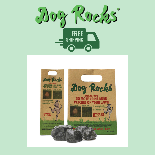 Dog Rocks Free Shipping