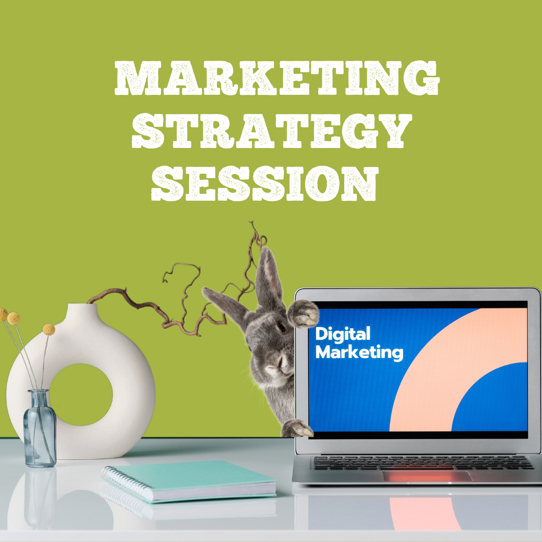 90 Minute Strategy Session Call