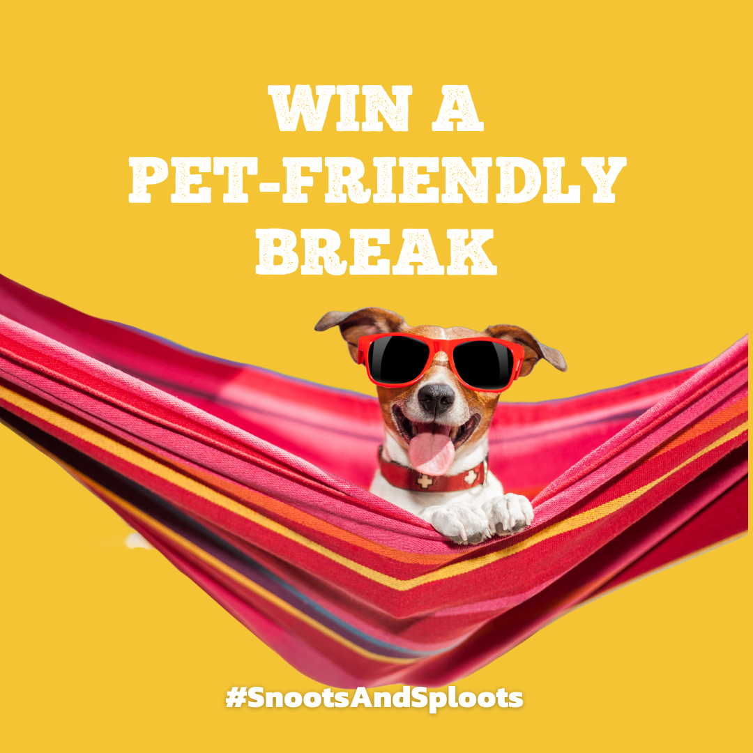 Win a Pet-Friendly Break