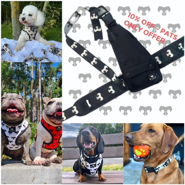 10% Off - BARK AVENUE - PATS Only