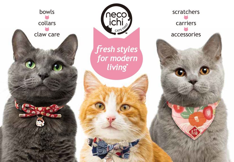 Special Offer: Save 15% on NECOICHI Bowls, Toys & Scratchers