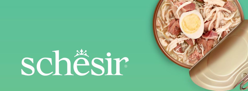 Schesir