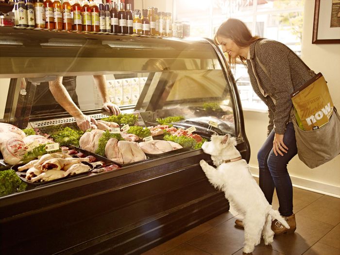 BSB PRODUCTS LAUNCH CANADIAN BRAND PETCUREAN